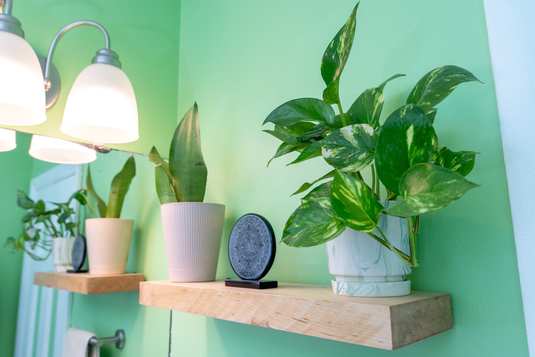 Building Photo - 1101 Kitt Pl