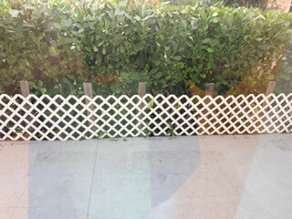 Patio off Living Room - 7473 Champagne Pl