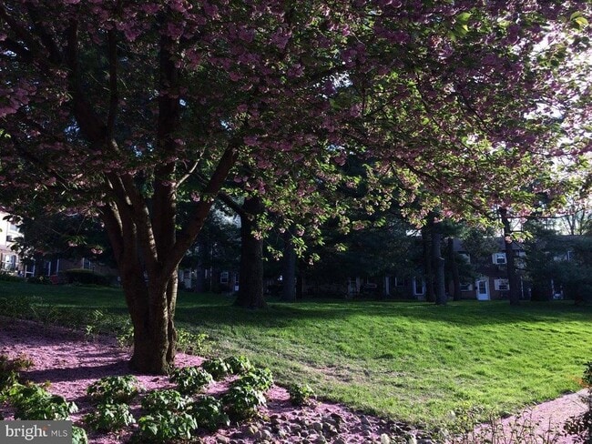 Building Photo - 207 Walnut Hill Rd