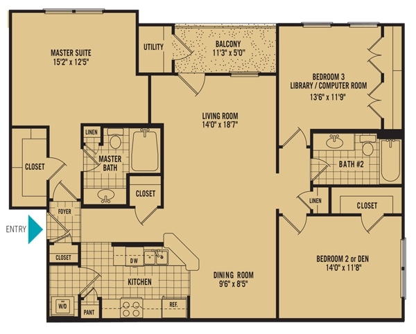 Orchid - Islands of Fox Chase