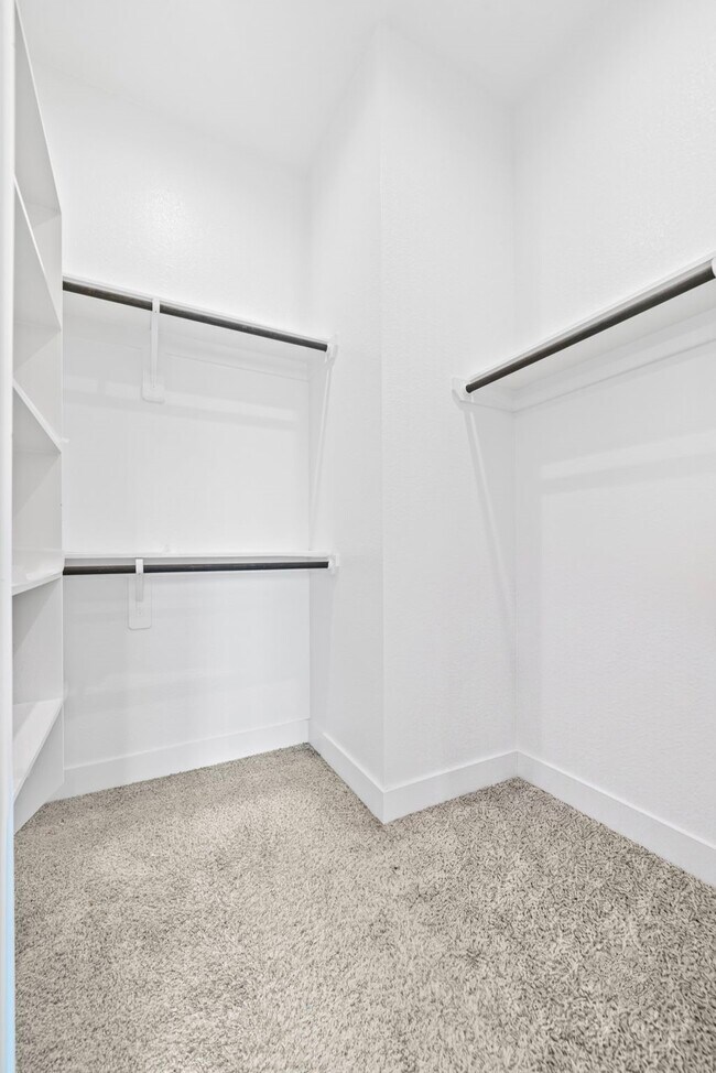 Building Photo - 10718 Blossom River Dr