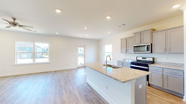 Building Photo - Brand New Beautiful Home in Taylor Lakes