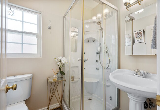 Walk-in shower with jet stream massagers. - 1150 W 25th St