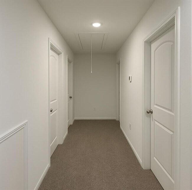 Building Photo - 807 Brazos Trl