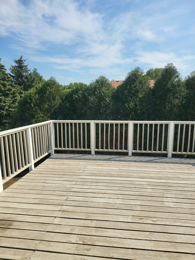 Building Photo - 14449 Hollow Park Ln