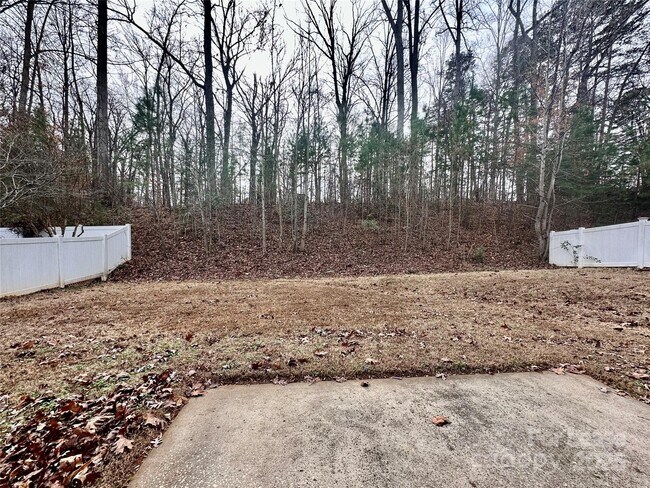 Building Photo - 4531 Hubbard Falls Dr