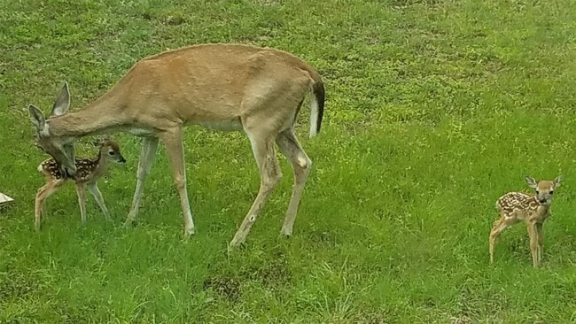 Building Photo - 2055 Island View