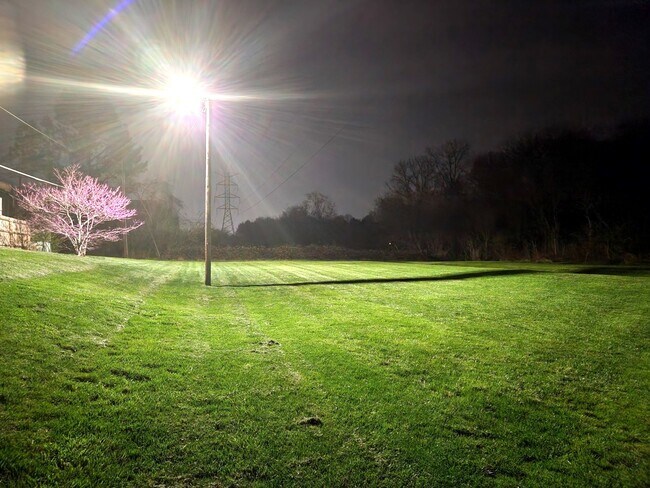 Building Photo - 8500 Ankara Ct