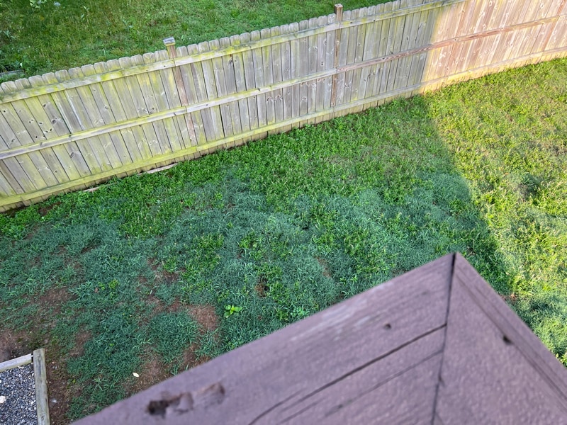 Building Photo - 1556 Rolling View Way SE