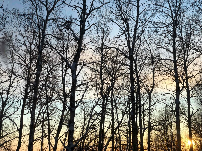 Building Photo - 264 Hawk Rd