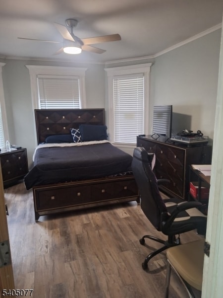 Building Photo - 176 Springdale Ave