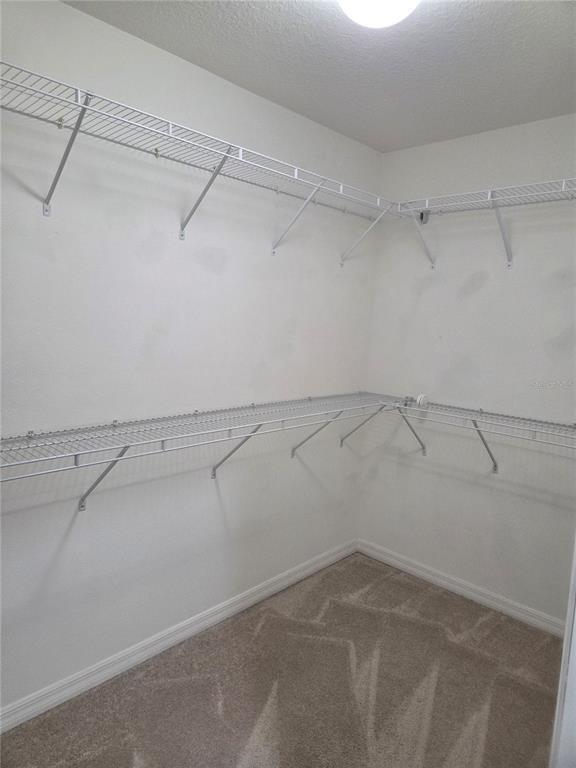 Building Photo - 2581 Shoal Bass Way