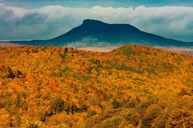 Building Photo - Studio in Richmond Village - Available NOW!