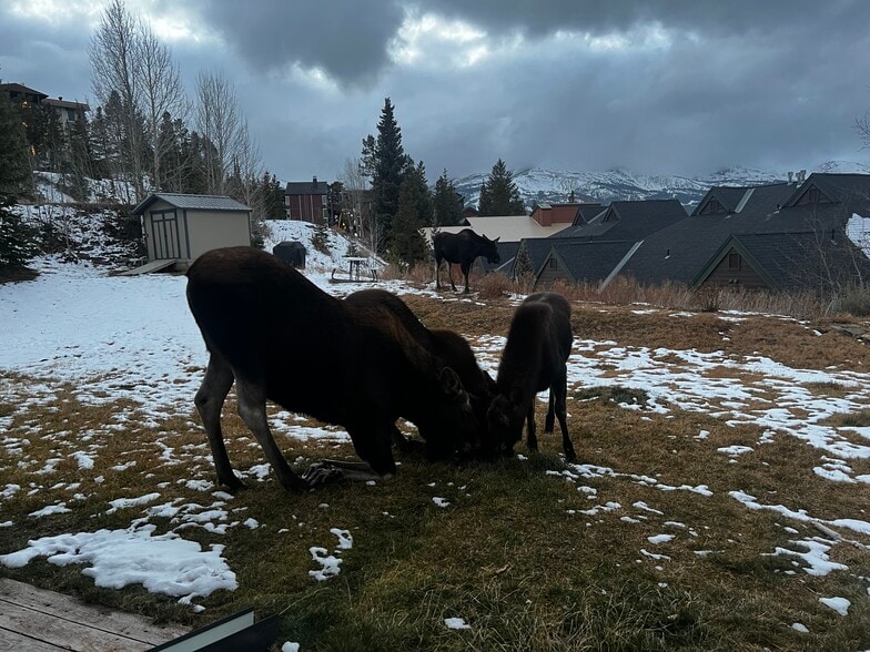 Building Photo - 303 Overlook Dr