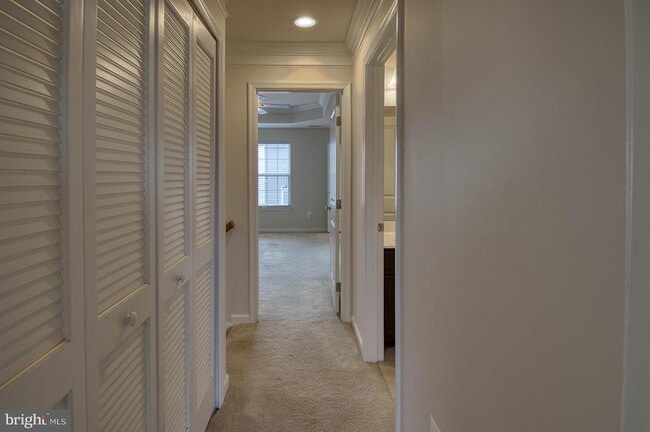 Building Photo - 2704 Egret Way