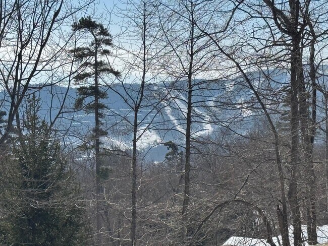 Building Photo - 175 Deer Dr