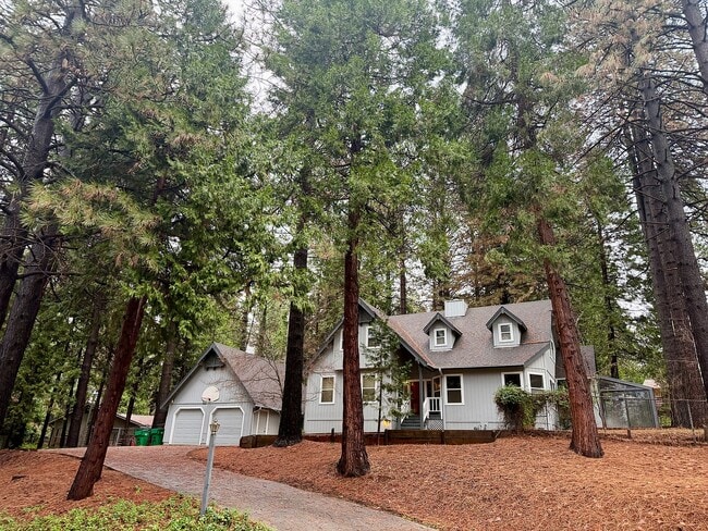 Building Photo - 11551 Forest View Dr