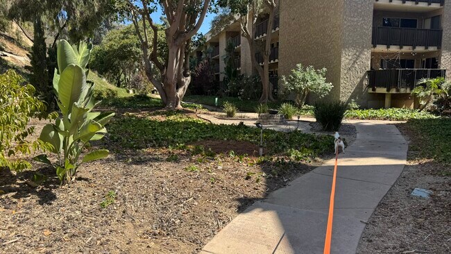 Building Photo - 6202 Friars Rd
