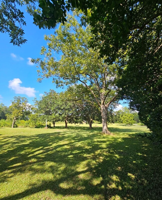 Building Photo - Exquisite 3-Bed, 3-Bath Country Retreat in...