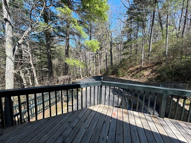 Building Photo - Central AVL - Large Custom Built Home with...