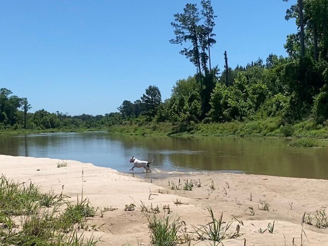 Building Photo - 4639 Sequoia Echo Dr