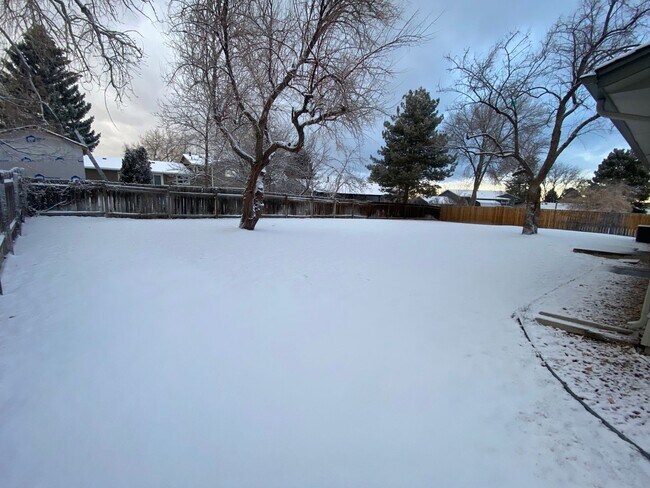 Building Photo - Spacious 3 bed home in Littleton