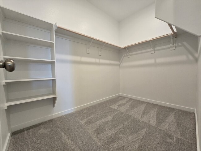 Building Photo - 3112 Ruby Rdg Dr