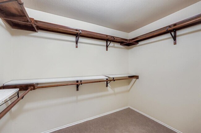 Building Photo - 1020 Brutus Dr