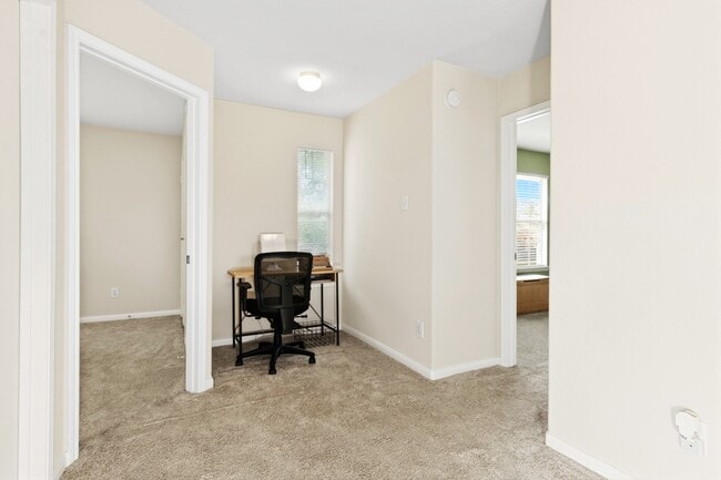 Building Photo - 20214 Ribbonwood Point Ct