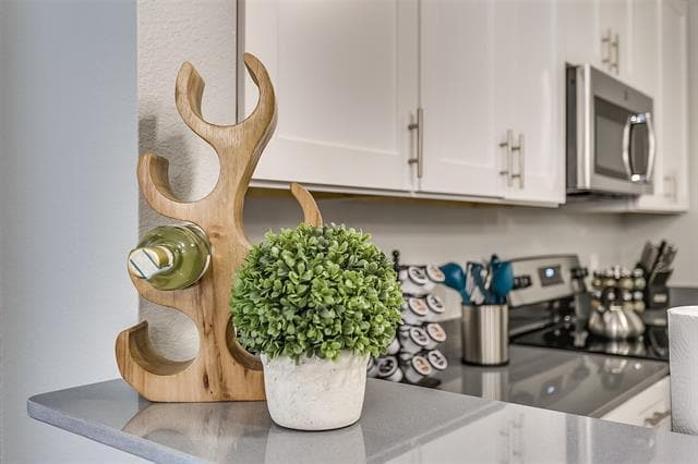 Building Photo - 901 Juno Ln