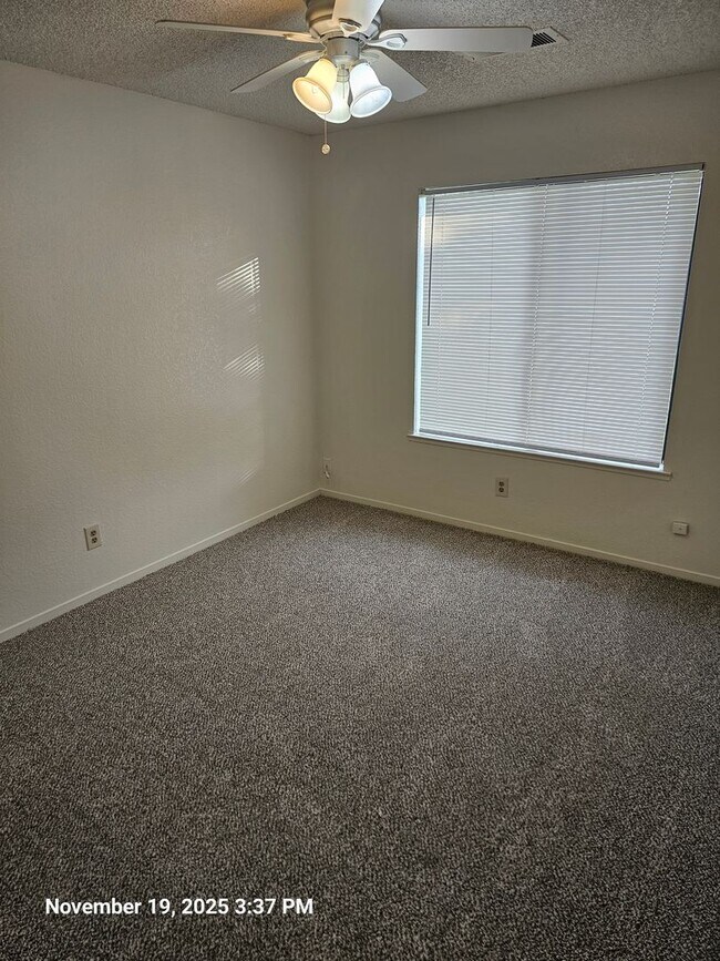 Building Photo - Available Now!