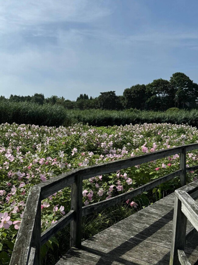 Building Photo - 493 Sagaponack Road