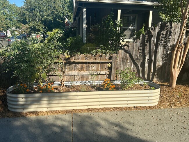 Building Photo - Charming Home in Winters, CA