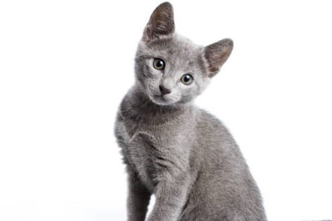 Building Photo - Walk Out Patio - 2 Bedroom 2 Bath