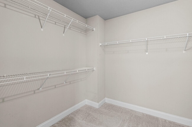 Building Photo - 2208 Jeannie Bell Ct