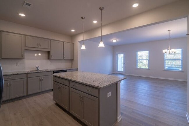 Building Photo - Beautiful Brand New 3 Bedroom 2.5 Bath Townhome in Hickory Glen!