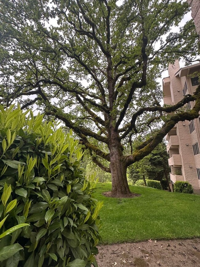 Building Photo - 2 Bedroom Quintet Condo off West Burnside ...