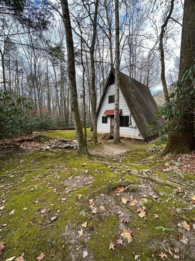 Building Photo - 2 Bedroom / 1 bath A Frame Home  Erwin, TN