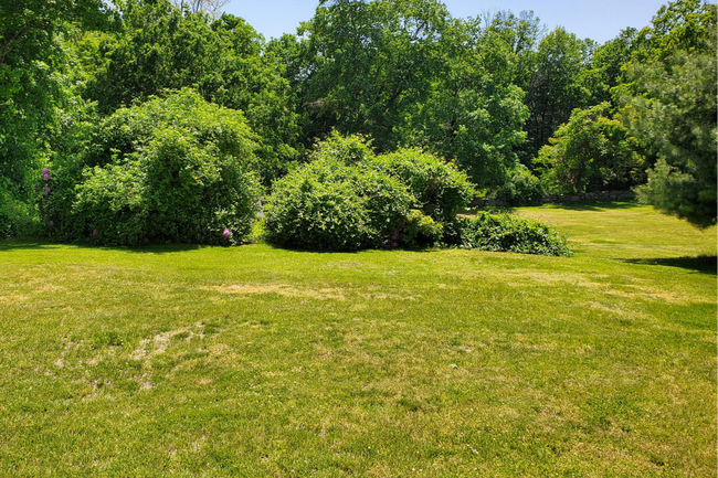 Building Photo - 148 Old Mill Rd