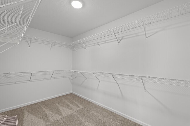 Building Photo - 3013 Brems Dr