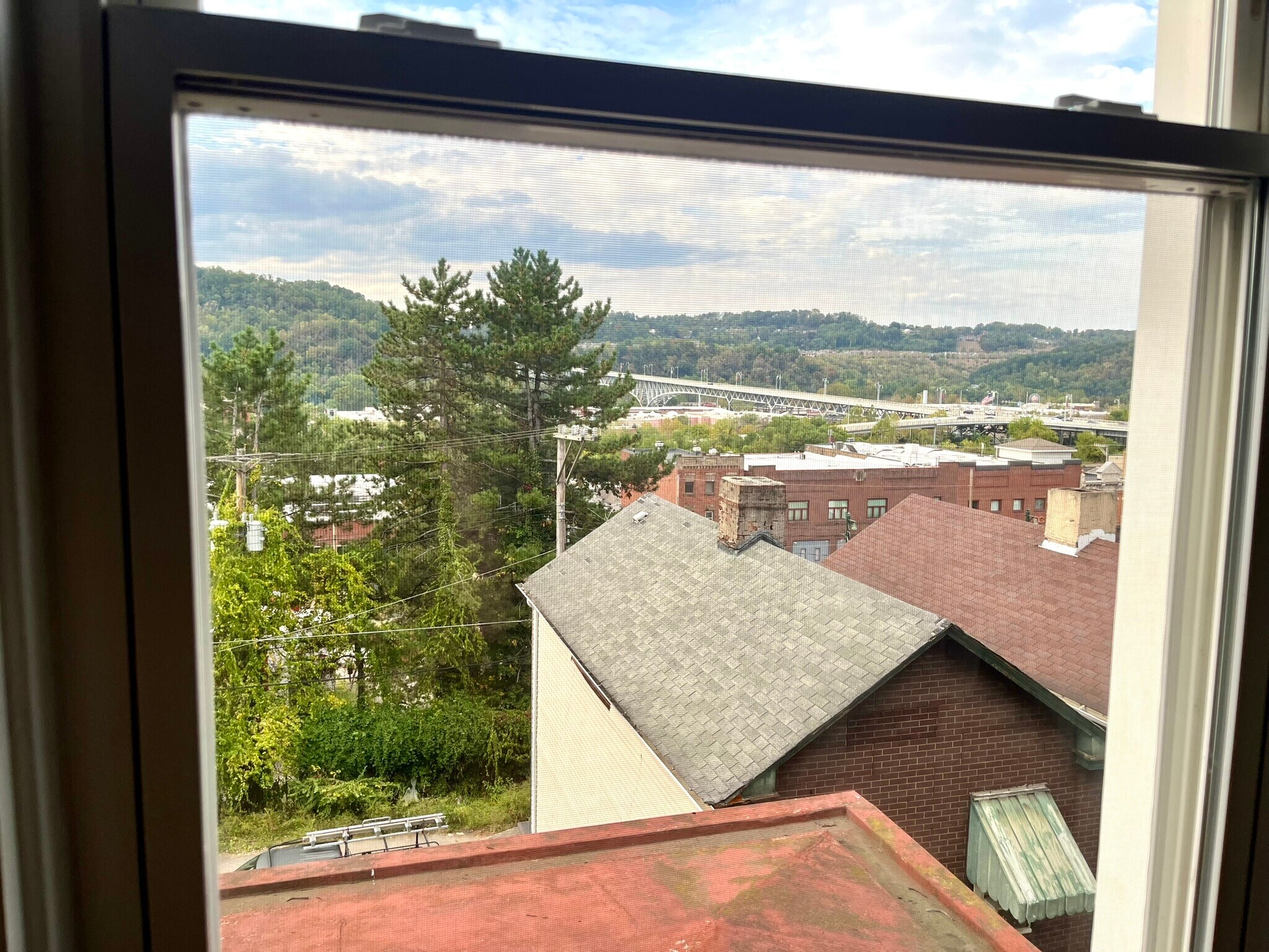 View from Kitchen - 241 W 9th Ave