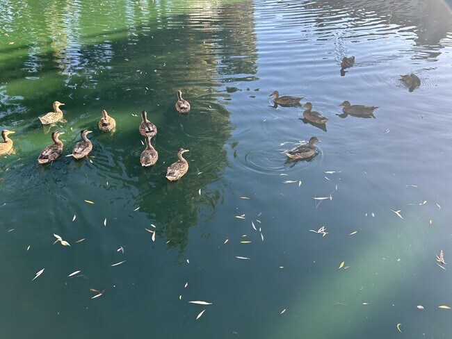 Building Photo - 1313 Floyd Ave