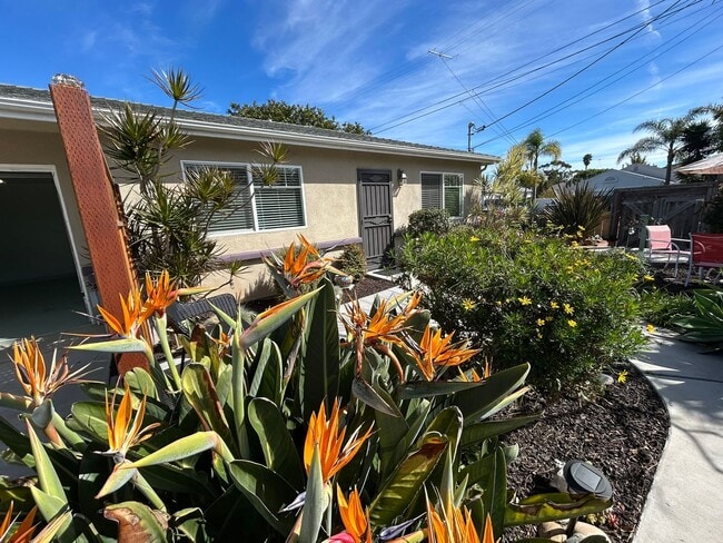Building Photo - Stylish Remodel Near Beach & Downtown