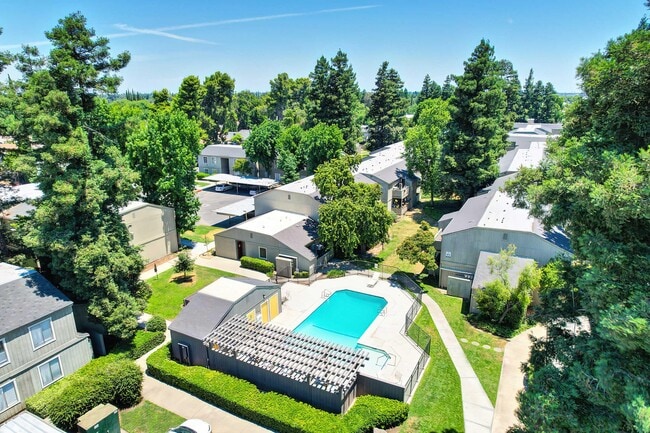Building Photo - The Redwoods Apartments