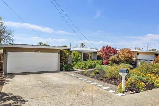 Building Photo - Full Remodeled Single-Level Home in San Rafael