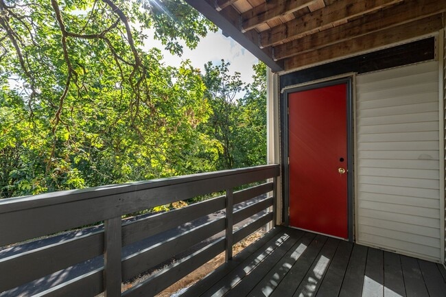 Building Photo - Spacious Newly Renovated Two Bedroom One Bath! $1000 Off Your First Full Month!