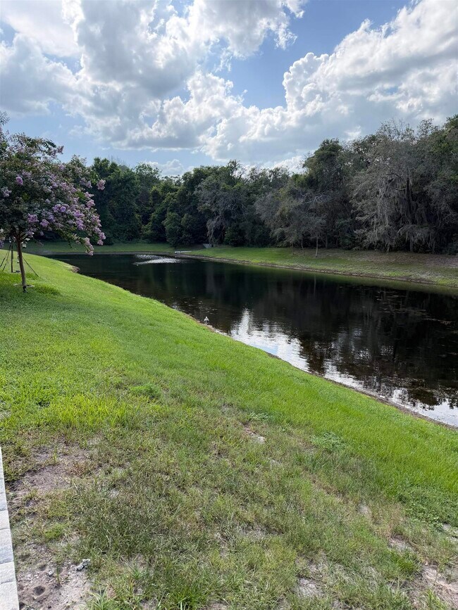 Building Photo - 136 Whispering Brk Dr