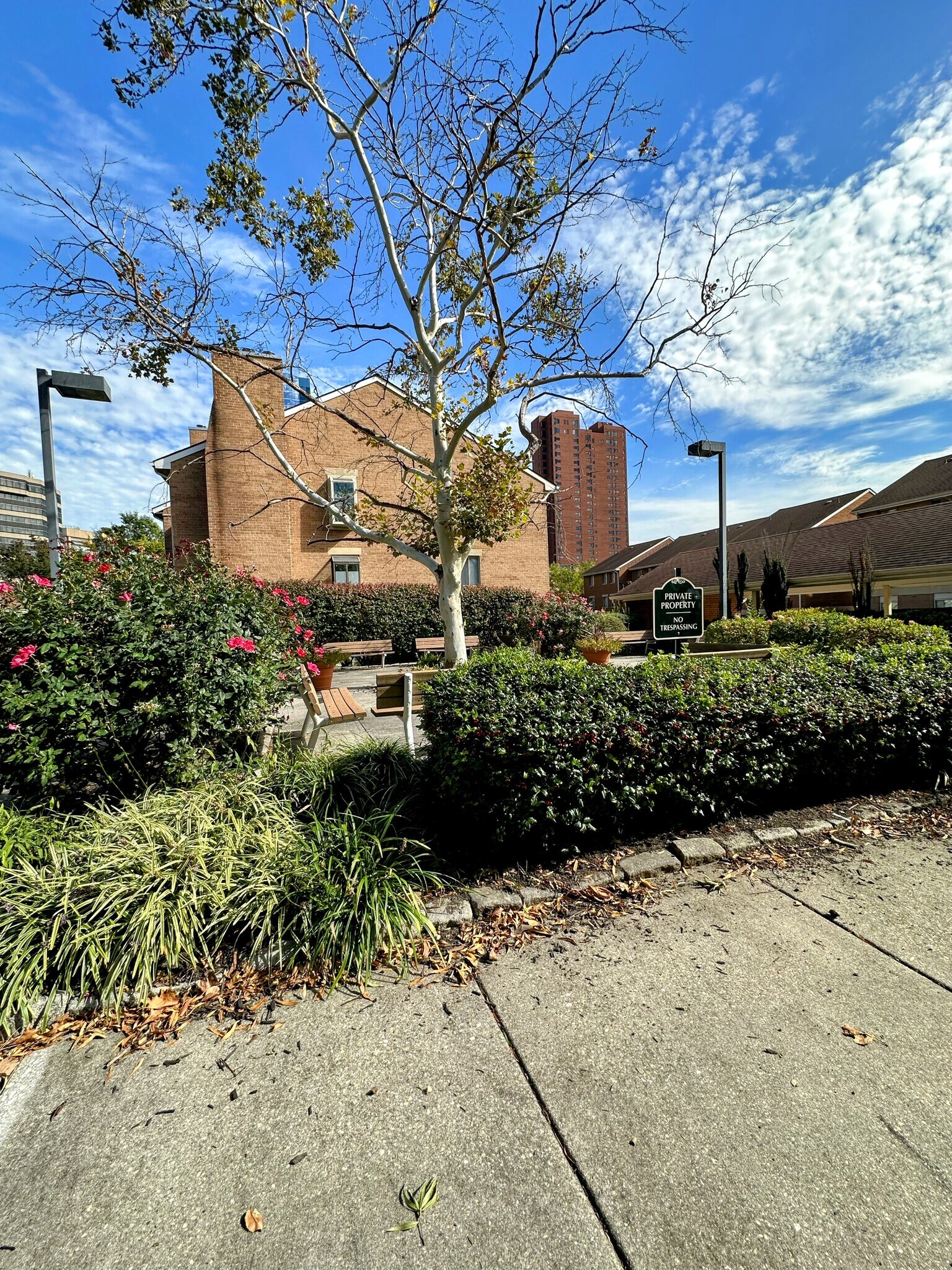 Private courtyard - 423 S Sharp St
