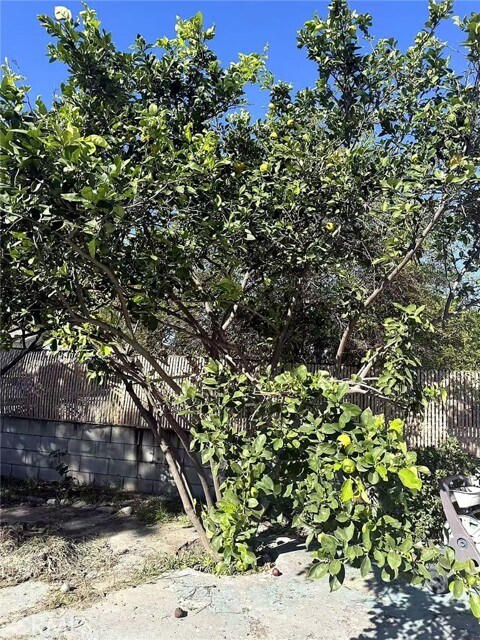 Building Photo - 8717 Tilmont Ave