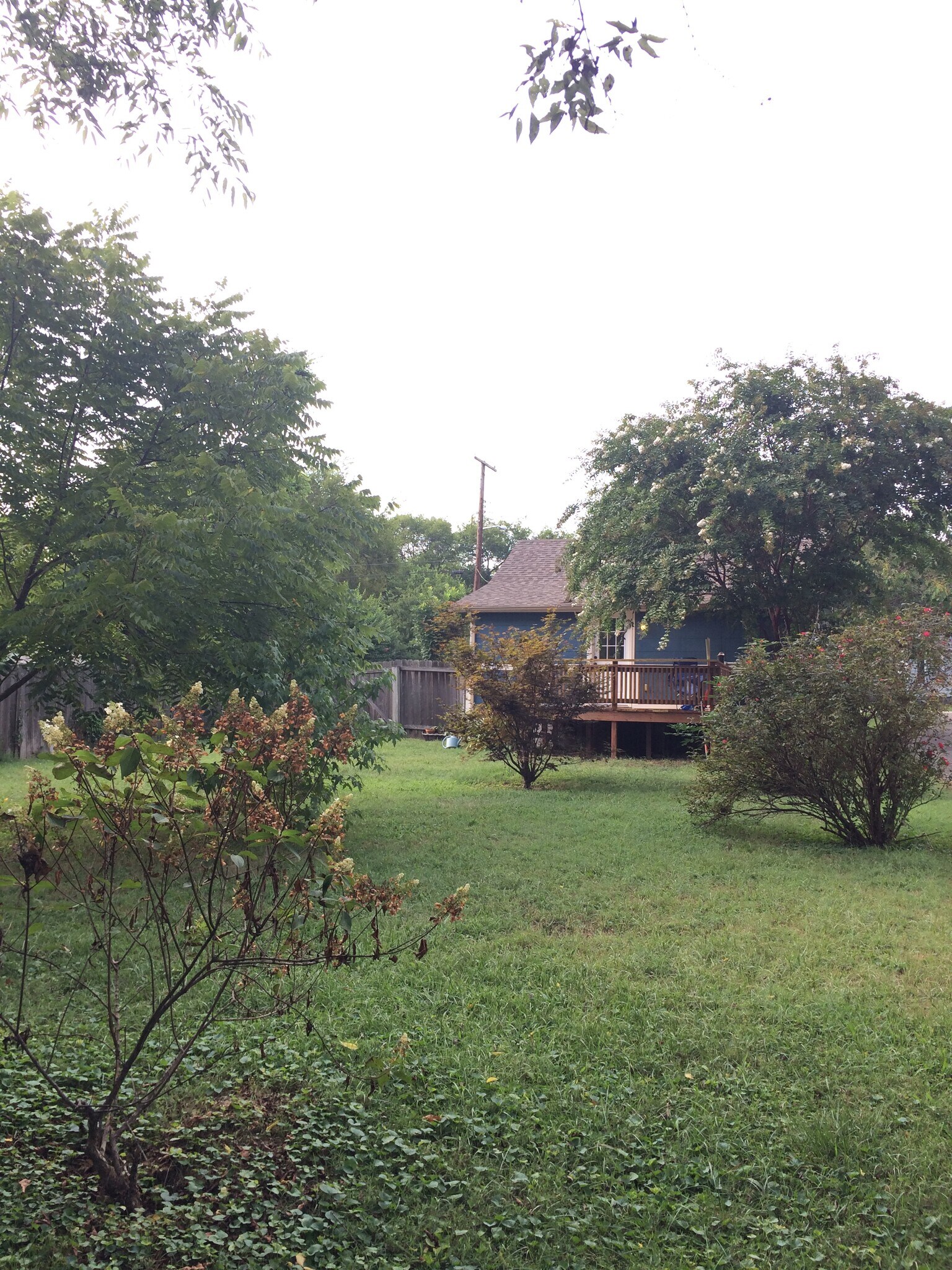 view from back of yard - 320 Cherry St